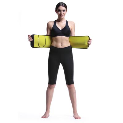 China Top Class Quality Antibacterial Wrap Around Seamless Tummy Trimmer Waist Trainer for sale