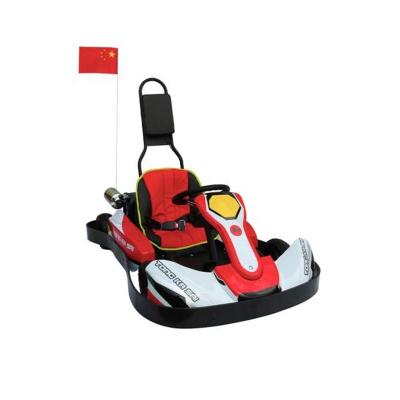 China Over 5 Years High Quality Professional Adult Off Road Rental Electric Racing Go Karts For Sale for sale