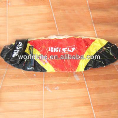 China Performance TRAINNING Power Kite for sale