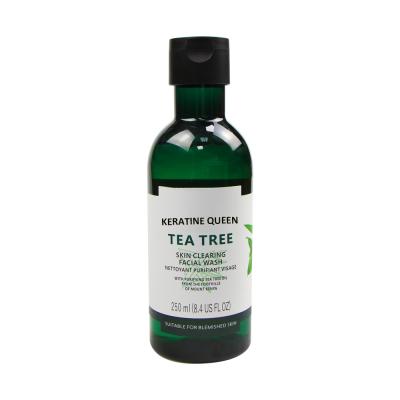 China Default Wholesale OEM/ODM Tea Tree Oil Private Label Face Clearing Natural Organic Deep Cleansing Wash for sale