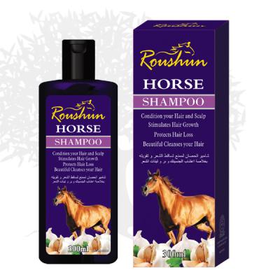 China Available Color-protecting Loss Prevention Gel Anti-shedding Gel Pet Hair Cleansing Private Label Natural Galic Smell Horse Hair Shampoo Wholesale for sale