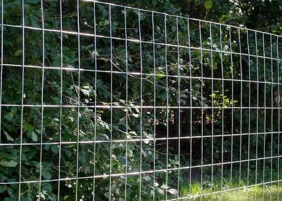 China Stainless Steel Welded Wire Mesh For Agricultural Applications for sale