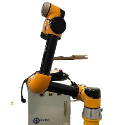 China Factory 6 Axis Robot Arm Collaborative Cobot for sale