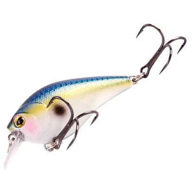 China Durable 50mm, 60mm, 70mm Fishing Crankbait 3D Lure Mini Crankbait Lures Artificial Unpainted Eye Triple Hook Saltwater for sale