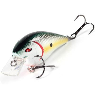 China Durable 50mm , 55mm Bait Floating Hard Plastic Artificial Fishing Tackle Bass Lure 3D Eyes Topwater Triple Hook Crankbait Hide for sale