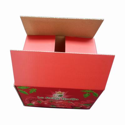 China Disposable Custom Full Color Printed Printing Shipping Packaging Cardboard Boxes Factory Supplier With Logo for sale