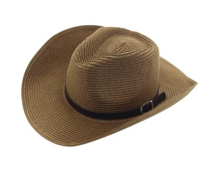 China Picture Fashion Paper Hat/Big Wide Brim Straw Hat for sale