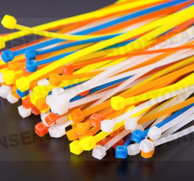 China Indicative disposable plastic cable tie all sizes pull tight nylon cable tie for sale