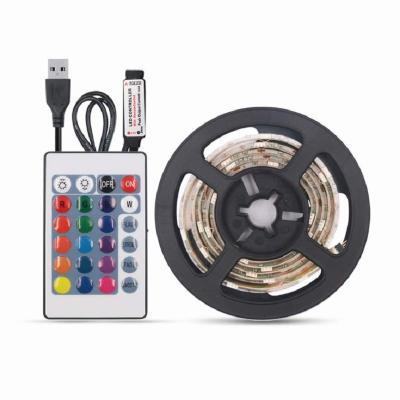 China 010 Hot Selling Amazon Waterproof SMD 5050 LED Color Changing Strip Light With 24keys Remote for sale