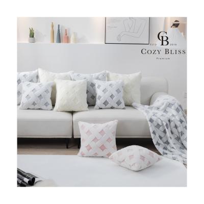 China Bliss New Arrival Sofa Cushion Anti-static Comfortable Cover Faux Rabbit Fur Cushion Cover Pillow Case For Couch Decorative Cushion for sale