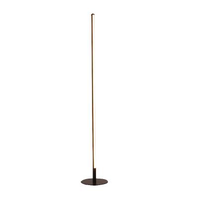 China Modern Ambient Lamp In The Bedroom Light-modulated LED Floor Lamp for sale