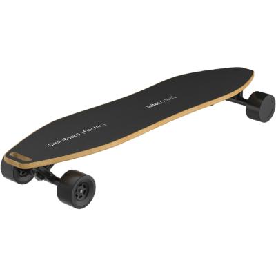 China Young adult four-wheel skater skateboarding unisex professional double chain beginner boys and girls skateboard for sale