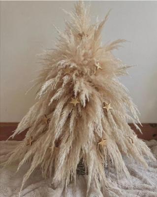 China Decoration H05491 Wedding Decoration Pampas Christmas Ornamen Pampas Grass Home Christmas Tree For Home Decor for sale