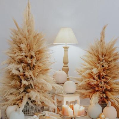 China Festival Performance Decoration E07520 Bohemia Style Pampas Christmas Decor Dried Natural Beige Pampas Grass Christmas Tree For Shop Home Decor for sale