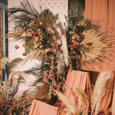 China Natural Touch Amazon China Hot Selling Pampas Grass Customized 45cm Large Pampas Grass Natural Fluffy Bouquet Beige Gray Pampas Grass for sale