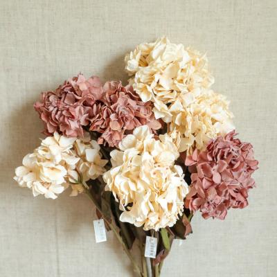 China Fashional S1-4132 Artificial Flower Hydrangea Silk Flower Burning Artificial Hydrangea For Wedding Home Decoration for sale