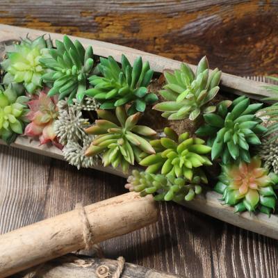 China L06164 Home Office Party Decoration Small Artificial Plastic Succulents Artificial Flower Wholesale Succulent Plants for sale