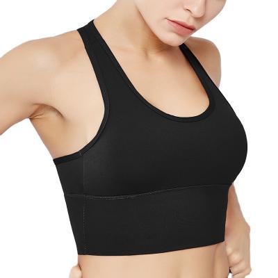 China Latest Arrival Quality Breathable Super Women Push Up Seamless Sports Yoga Boating Sports Bra for sale