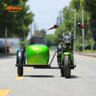 China Passenger China Factory Sale 1000W Soyal Electric Sidecar Tricycle for sale