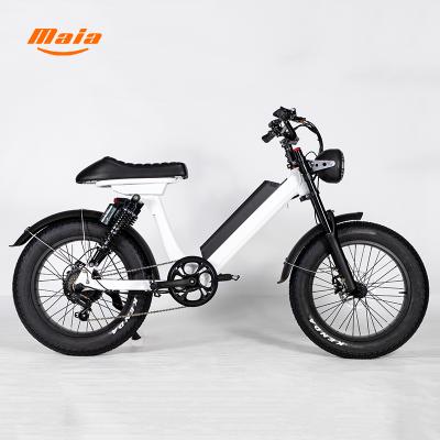 China Aluminum alloy 500W/750W/1000W rear hub motor electric bicycle electric mountain bike for sale