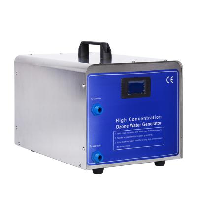 China Factory 1-3ppm High Performance Ozone Water Purifier Ozone Generator Remove Odor Water Treatment Ozone Machine for sale