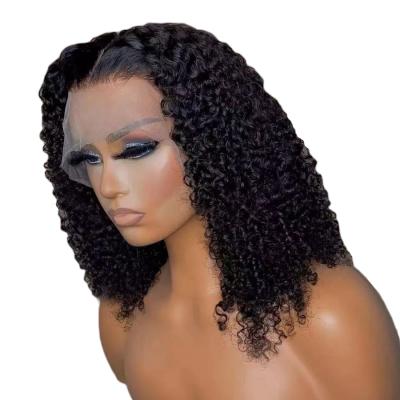 China Jerry Curl Jerry Curly Human Hair Wig 13x4 Lace Front Human Hair Wigs 100 Hairline Brazilian Natural Hair RUBE for sale