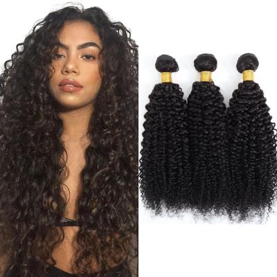 China Curly Curly Cuticle Aligned Virgin Human Hair Bundles Malaysian Curly Curly Hair Extension Bundles Shedding No No Tangle RUBE for sale