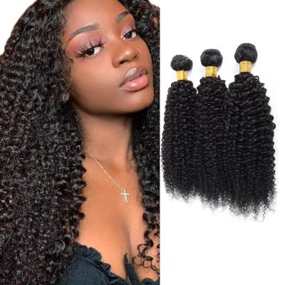 China Curly Free Samples Curly Hair Bundles Mink Brazilian Hair Kinky Curly Bundles Cuticle Aligned Virgin Hair RUBE Wholesale for sale