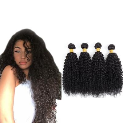 China New Arrival Kinky Curly Curly Hair Extensions Raw Indian Hair Kinky Curly Cuticle Aligned Virgin Hair Free Shipping No Shedding Grade 11A for sale