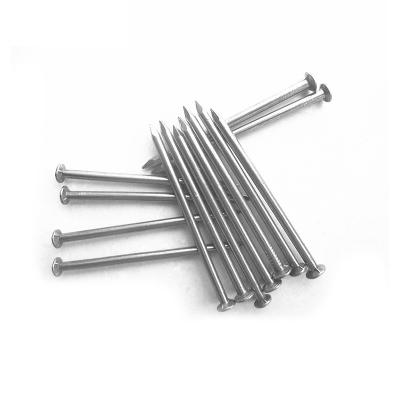 China China Manufacture Flat Galvanized Common Wire Nail Steel Iron Concrete Nail With Low Price for sale