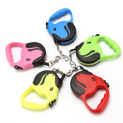 China Night Reflective Safety Flashing Glow in the Dark Nylon Custom 5m Pet Leash LED Dog Collar 3m Printing Logo for sale