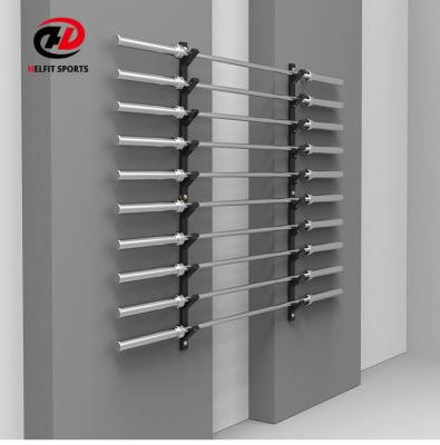 China China Made High Quality Hot Sale Wall Barbell Rack Custom for sale