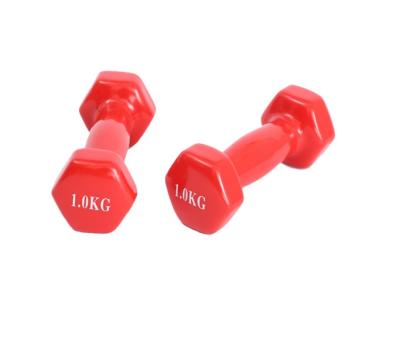 China Multicolor Dumbbell Rack Gym Eco-friendly Equipment Colored Vinyl Neroprene Dumbbell Wholesale for sale