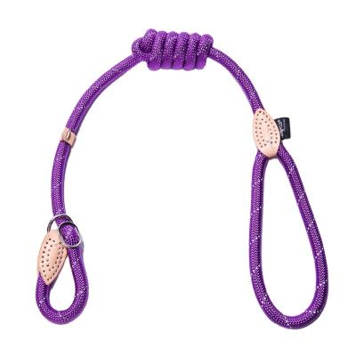 China Factory Directly Reflective Custom Elastic Pets Reflective Nylon Accessories Dog Traction Rope for sale