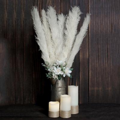 China Hot White Pampas Grass Bleach Ins Style Pure White Dried Pampas Grass Amazon Sale Dried Pampas Grass For Wedding Decoration for sale