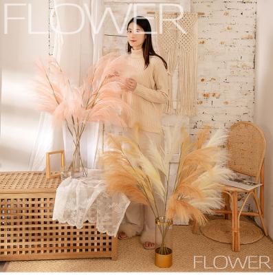 China Hotel Boho Decoration K01391 Home Wish Faux Pampas Grass Fluffy Floral Branches For Wedding Home Kitchen And Bedroom Table Decoration for sale