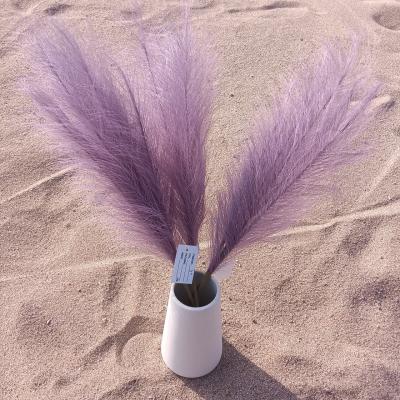 China B0467 Vendor Small 45 6 Branches Silk Artificial Pampas Grass Wedding Party Events Amazon 45 Branch Fake Flower Fake Pampas Grass Home Decor Mini Warm Fluffy for sale