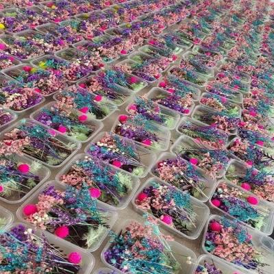 China Y036 Customized Wholesale Handmade DIY Dried Flower Material Package Natural Dry Mixed Flower Package Flower Material For Sale for sale