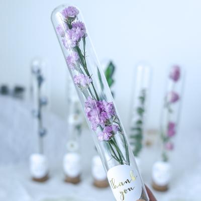 China Holiday decoration & New Arrival 2021 Gift Tending Products To Preserve Glass Dome Friend Gift Flower Dry Glass Baby's Breath Flower Forever for sale