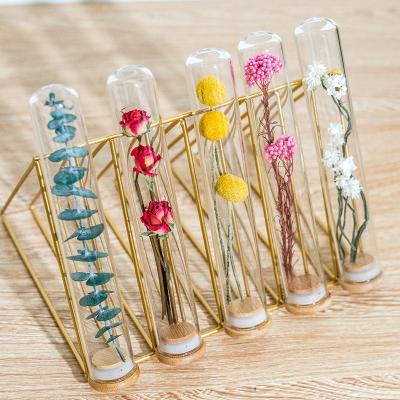 China Wedding Party Home Events INS Style Decoration B0273 Hot Sales Preserved Glass Set Decoration Glass Gift Cheap Dried Flower Dome For Decoration for sale