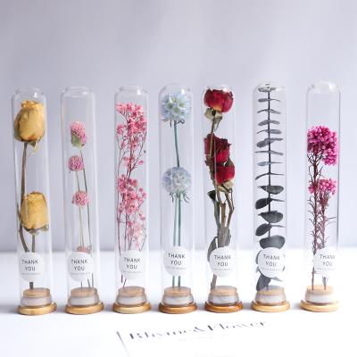 China Hot Sales Home Decoration B0272 Amazon Wedding Events High Quality Dried Flowers Set Preserved Home Decoration Rose In Glass Dome Natural Preserved Roses for sale