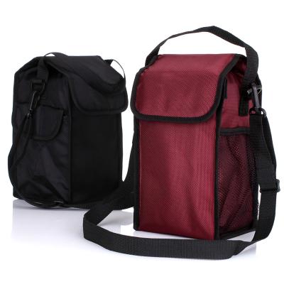 China Hot Sales Insulated Easy Carry Outdoor Insulated Lunch Bag Drink Cooler Kids Bag For Picnic for sale