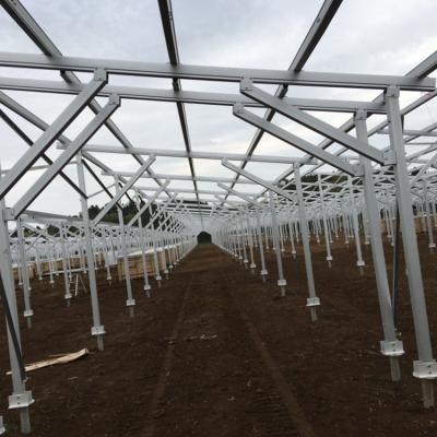 China Industrial Farmland Solar Rack System Installed By Ground Screw for sale