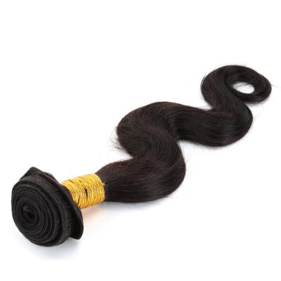 China 2019 Hot Selling 16 Inch 100% Silky Straight Human Hair Natural Brazilian Bundles for sale