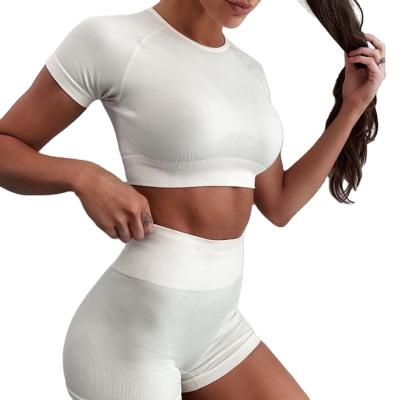 China Breathable Women Short Sleeve 2 Piece Crop Shirts Training Top Workout Fitness Seamless Tracksuit Quick Dry Pants Yoga Shorts Set for sale