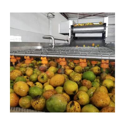 China food & Factory Automatic Industrial Orange Beverage Juice Making Machine for sale