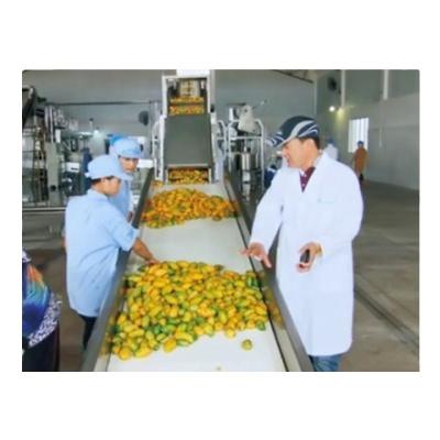 China Food Industry Juice Drinks Processing Line for sale