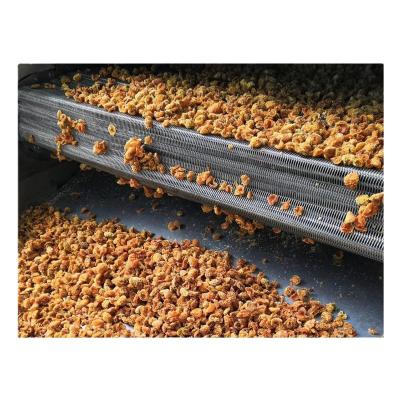 China food & Beverage Factory Automatic Dried Dehydrated Fruits Making Line for sale