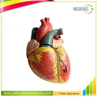 China Schools Anatomical Biological Educational Aids Plastic Heart Model for sale