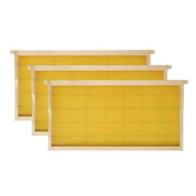 China Wooden Farms Beekeeping Equipment Langstroth Bee Hive Frame Hive Frames for sale